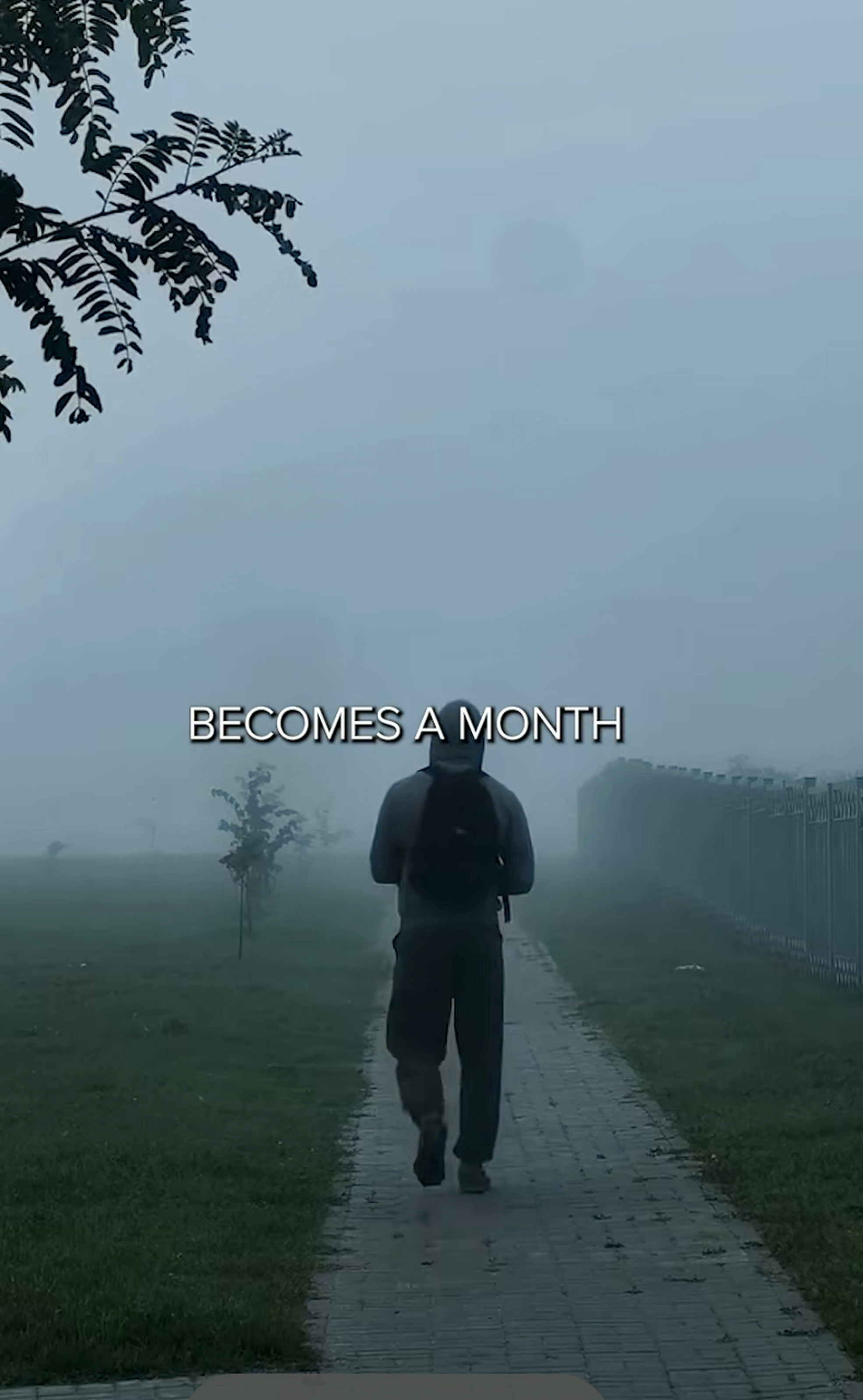 Motivational Trained — foggy walk content