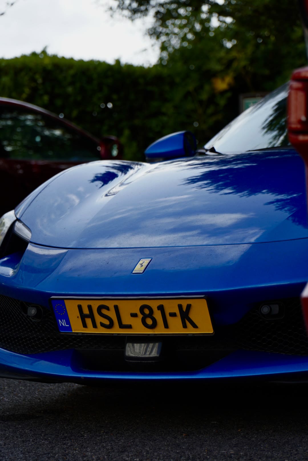 Ferrari detail