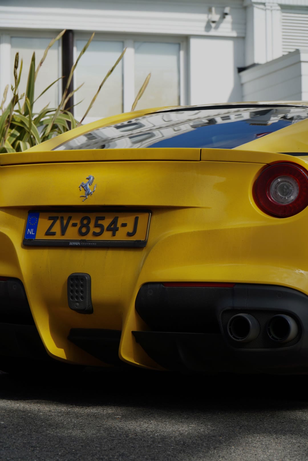 Ferrari detail