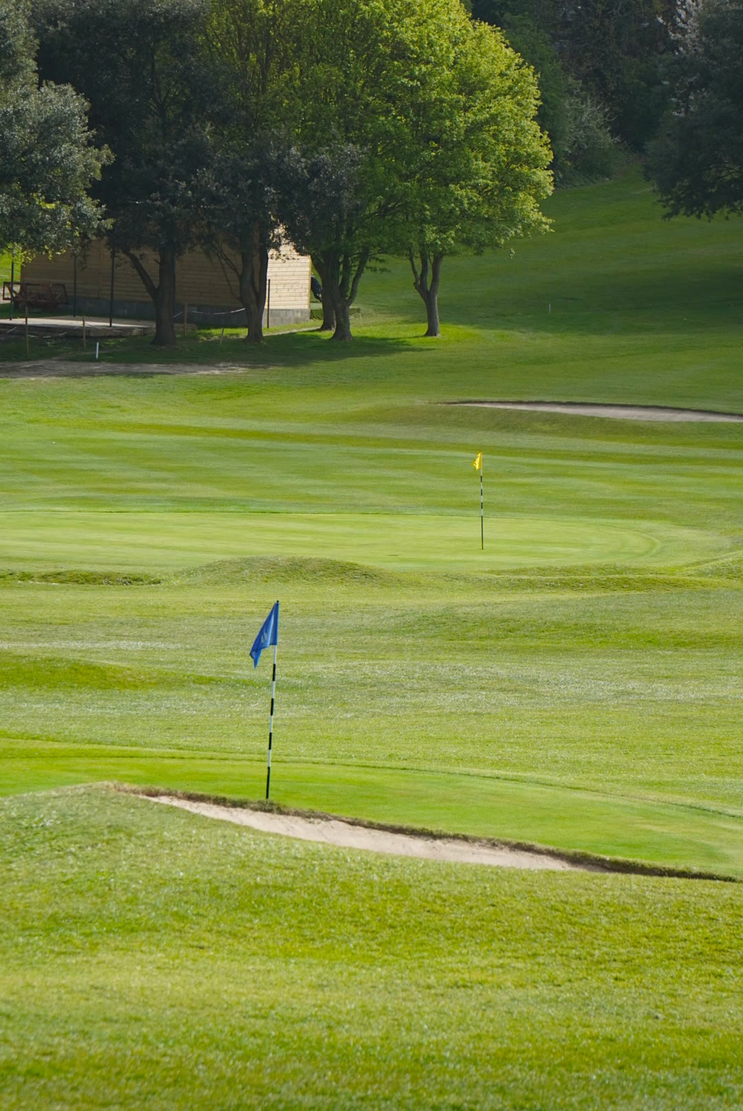 Willingdon Golf