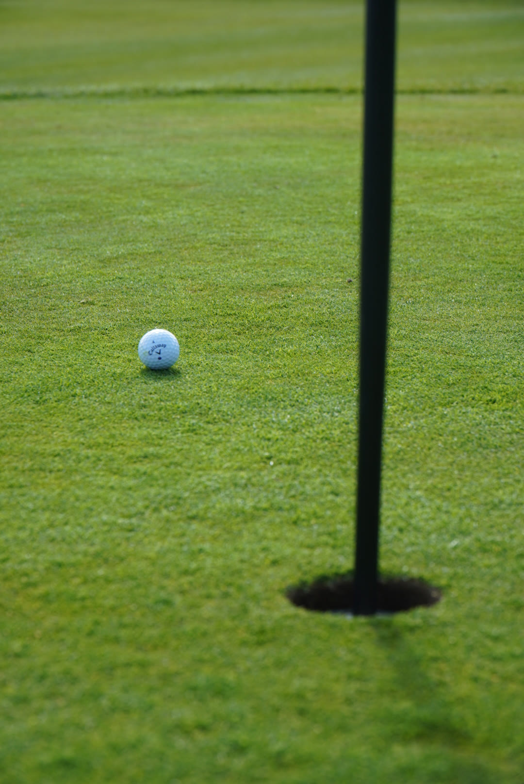 Willingdon Golf