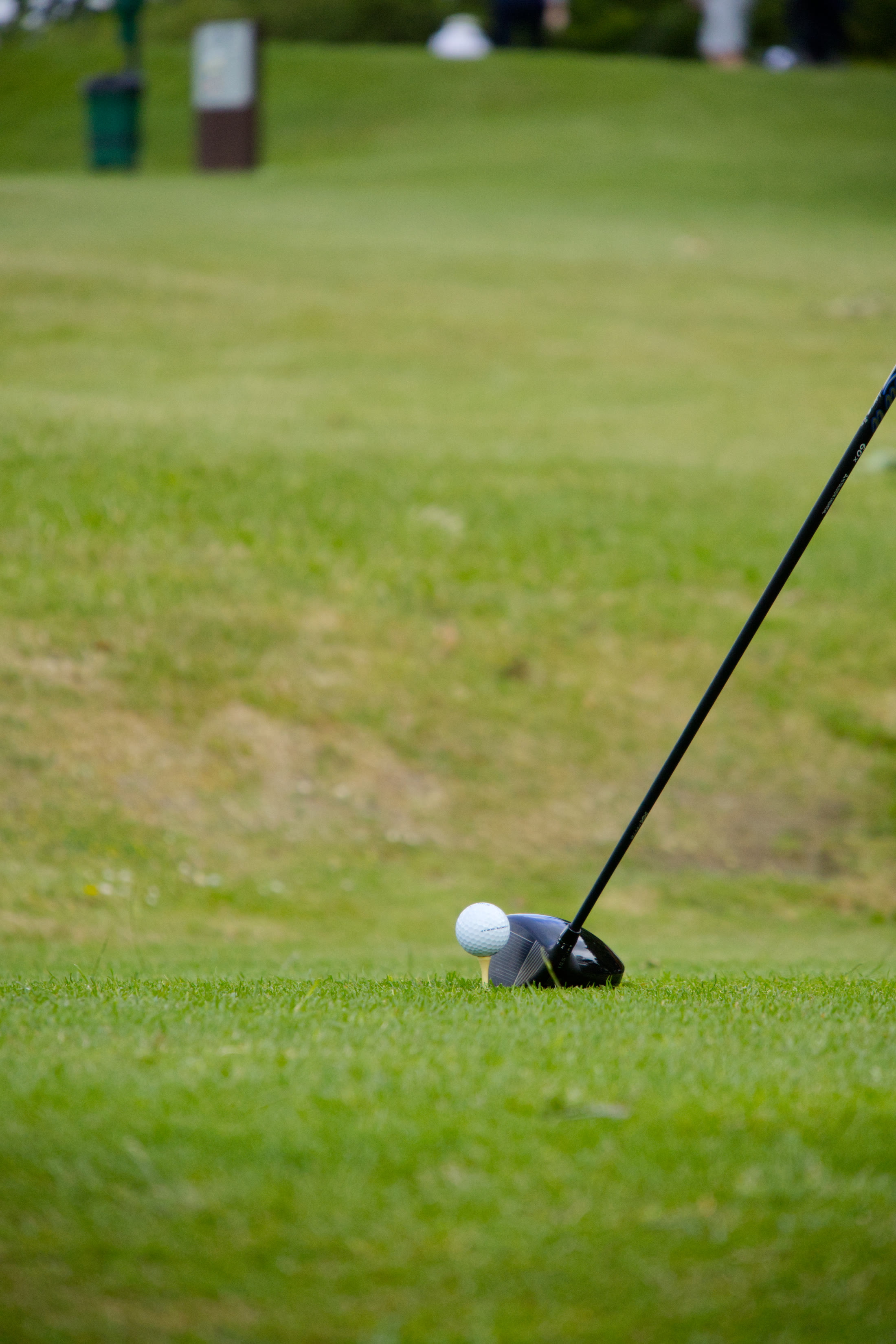 Willingdon Golf
